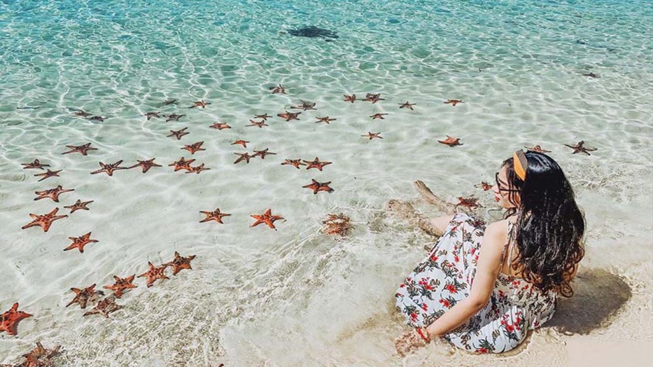 Bãi Kem lọt top 100 bãi biển đẹp nhất thế giới năm 2018  Điểm đến   Vietnam VietnamPlus